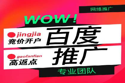 SEM服务案例：打造行业领先品牌